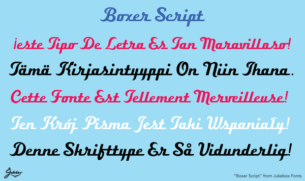 Sample of Boxer Script