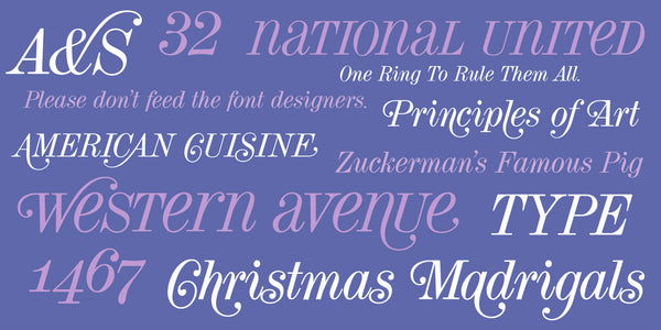 Sample of Torino Display Italic