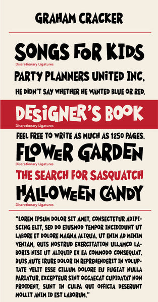 Graham Cracker Type Specimen