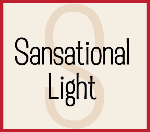 Sansational Light Banner