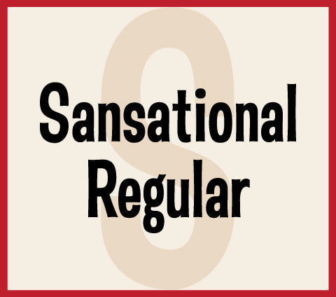 Sansational Regular Banner