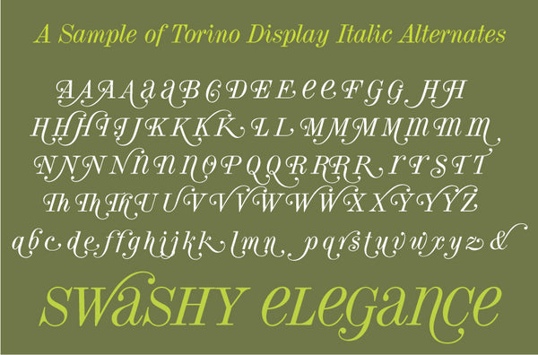 Sample of Torino Display Italic Alternates